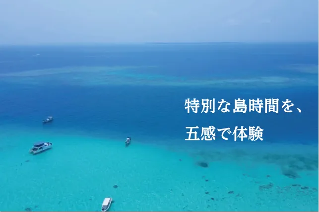 アイランドの写真